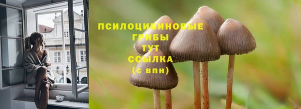 спайс Вязники