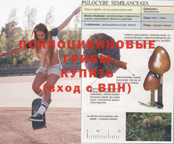 МДМА Вязьма