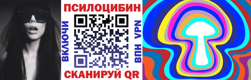 Псилоцибиновые грибы Psilocybine cubensis  Обоянь 