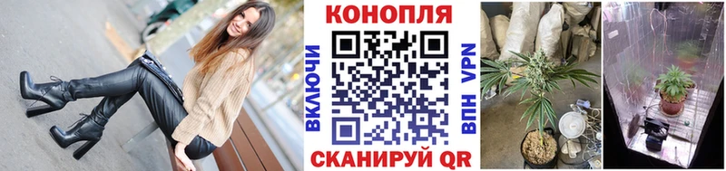 Шишки марихуана гибрид  закладки  Обоянь 